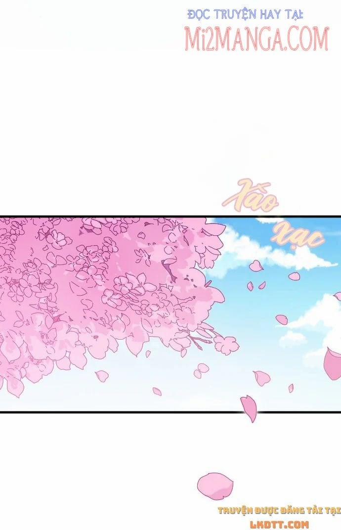 Cô Đi Mà Kết Hôn Với Chồng Của Tôi Đi 1.1 trang 11