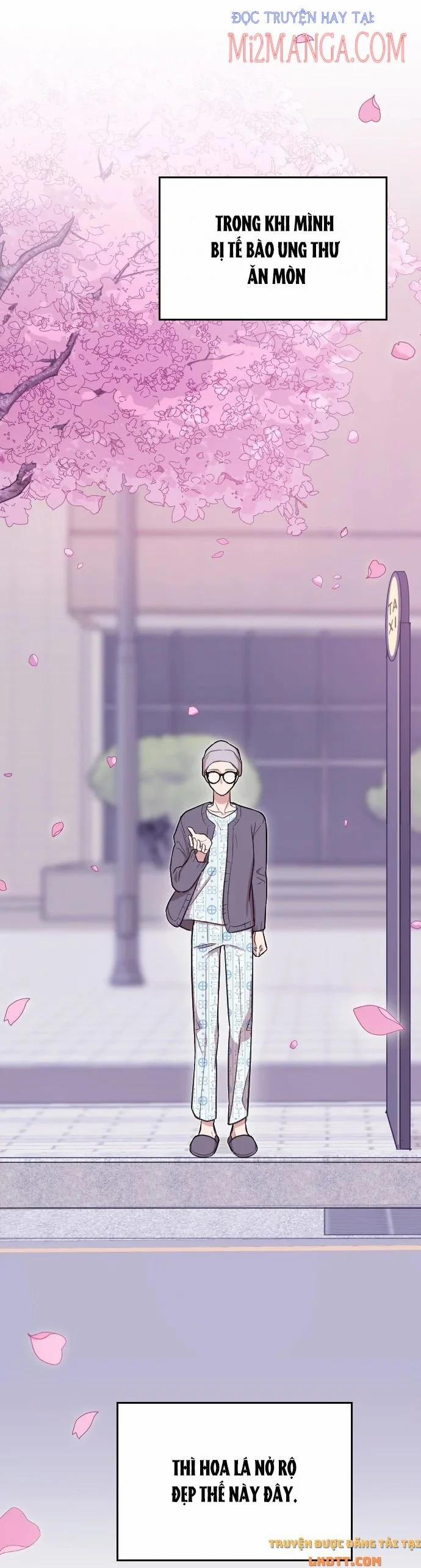 Cô Đi Mà Kết Hôn Với Chồng Của Tôi Đi 1.1 trang 13