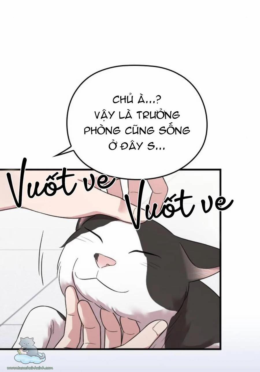 Cô Đi Mà Kết Hôn Với Chồng Của Tôi Đi 25 trang 83