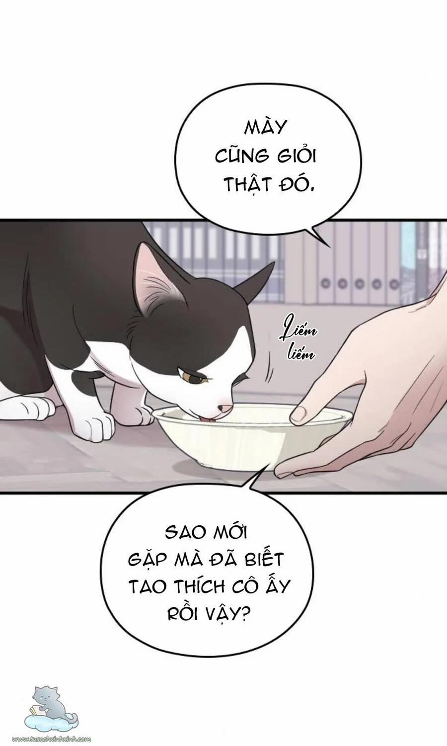 Cô Đi Mà Kết Hôn Với Chồng Của Tôi Đi 26 trang 39