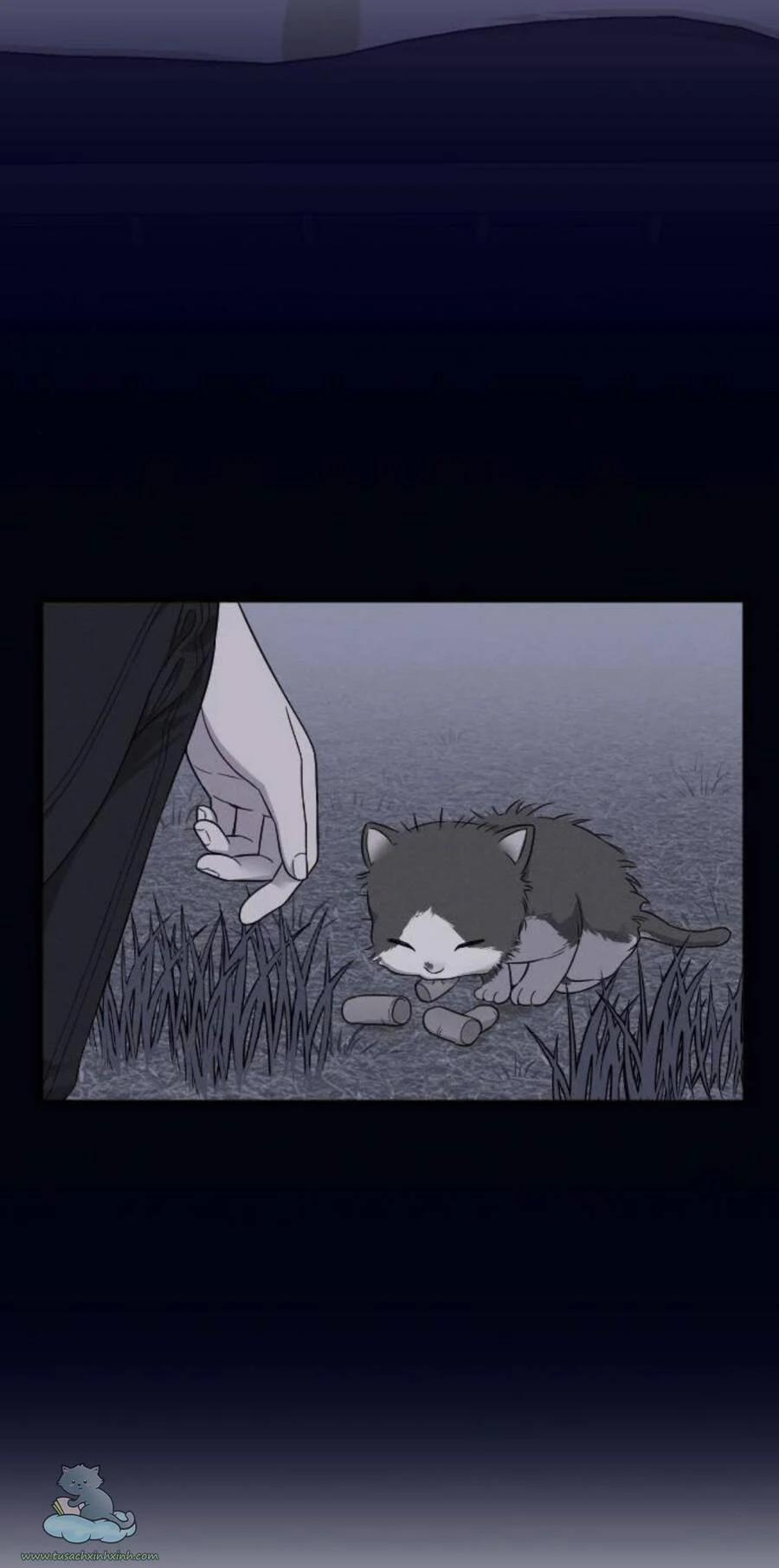 Cô Đi Mà Kết Hôn Với Chồng Của Tôi Đi 28 trang 100