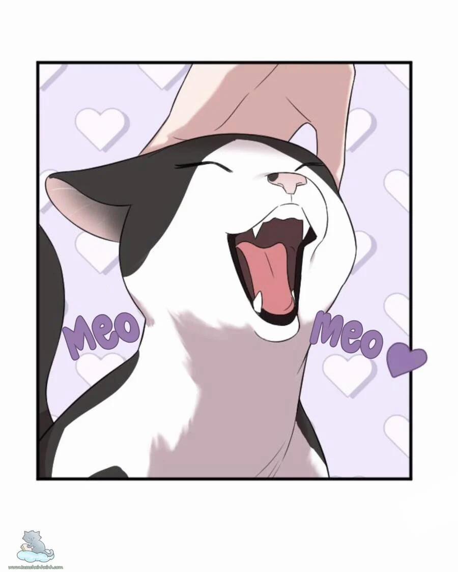 Cô Đi Mà Kết Hôn Với Chồng Của Tôi Đi 31 trang 101