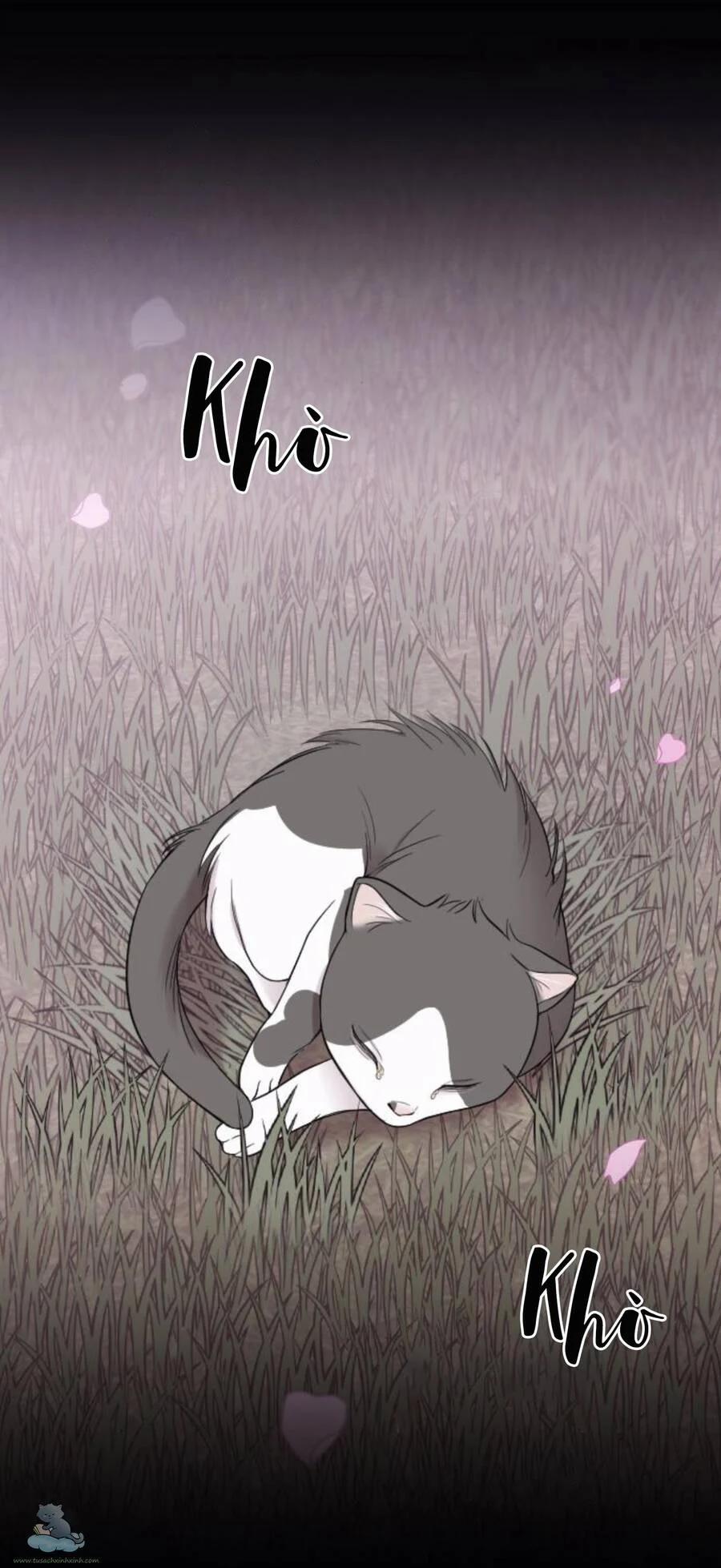 Cô Đi Mà Kết Hôn Với Chồng Của Tôi Đi 32 trang 14