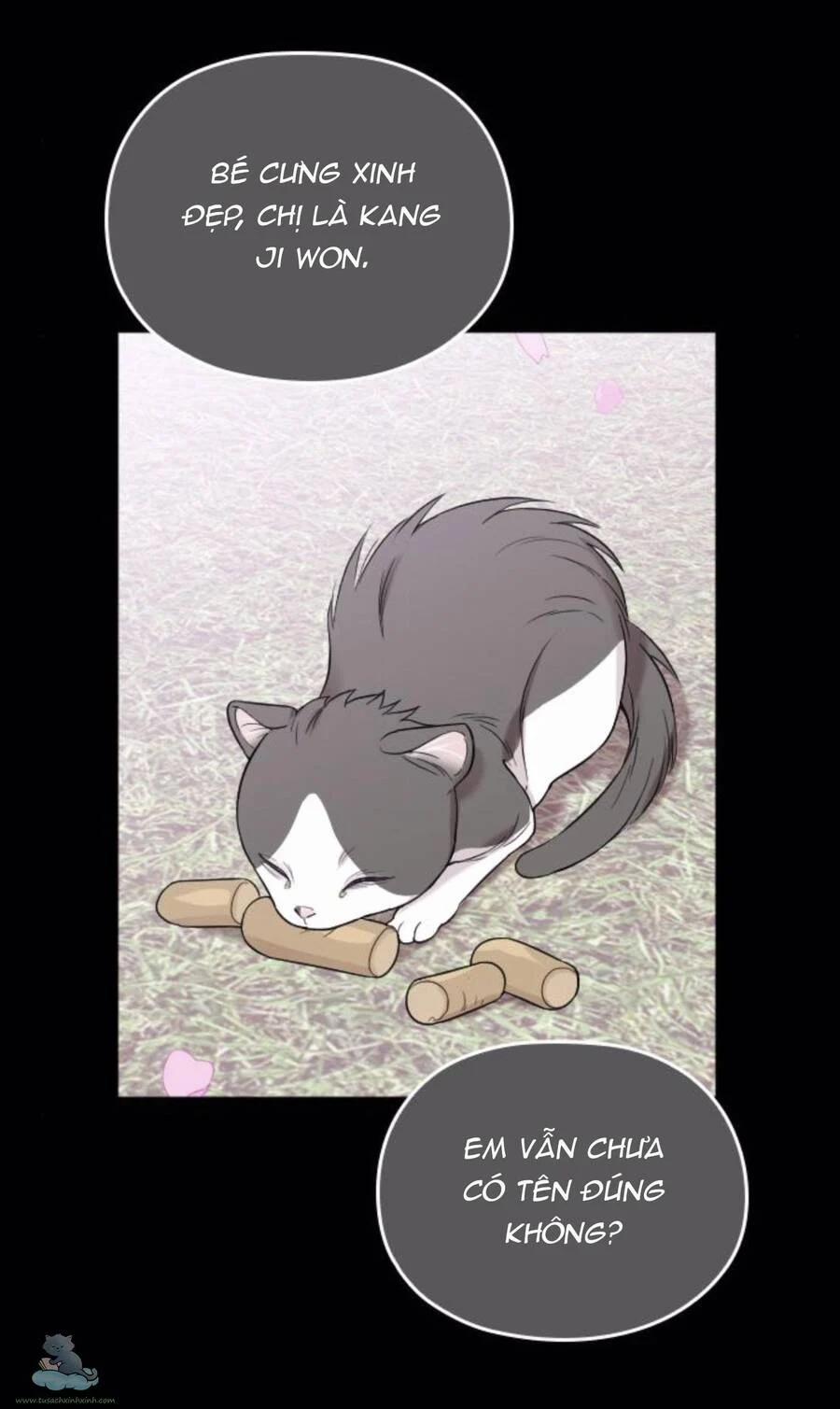 Cô Đi Mà Kết Hôn Với Chồng Của Tôi Đi 32 trang 21