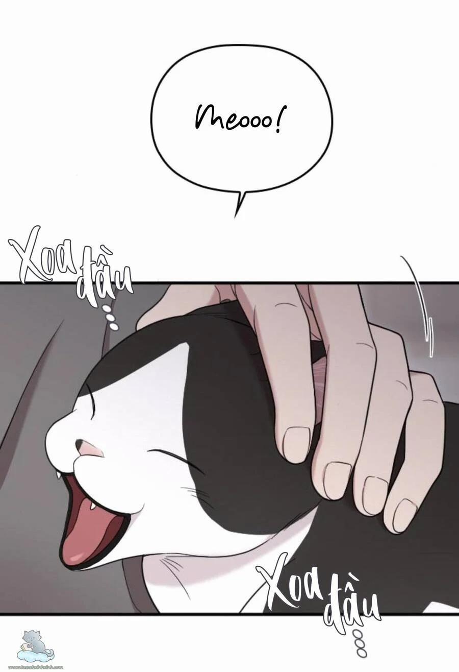 Cô Đi Mà Kết Hôn Với Chồng Của Tôi Đi 32 trang 37