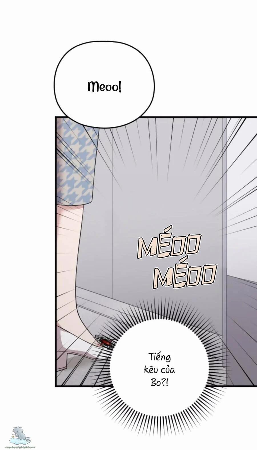 Cô Đi Mà Kết Hôn Với Chồng Của Tôi Đi 33 trang 72