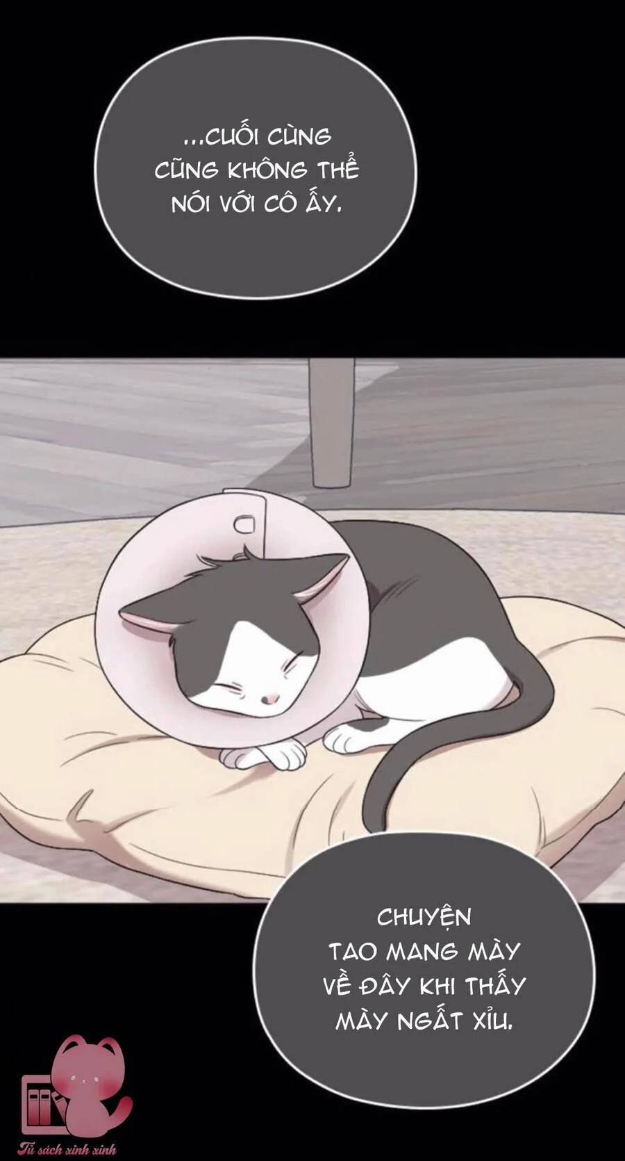 Cô Đi Mà Kết Hôn Với Chồng Của Tôi Đi 46 trang 23