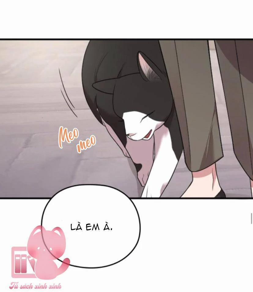 Cô Đi Mà Kết Hôn Với Chồng Của Tôi Đi 47 trang 104