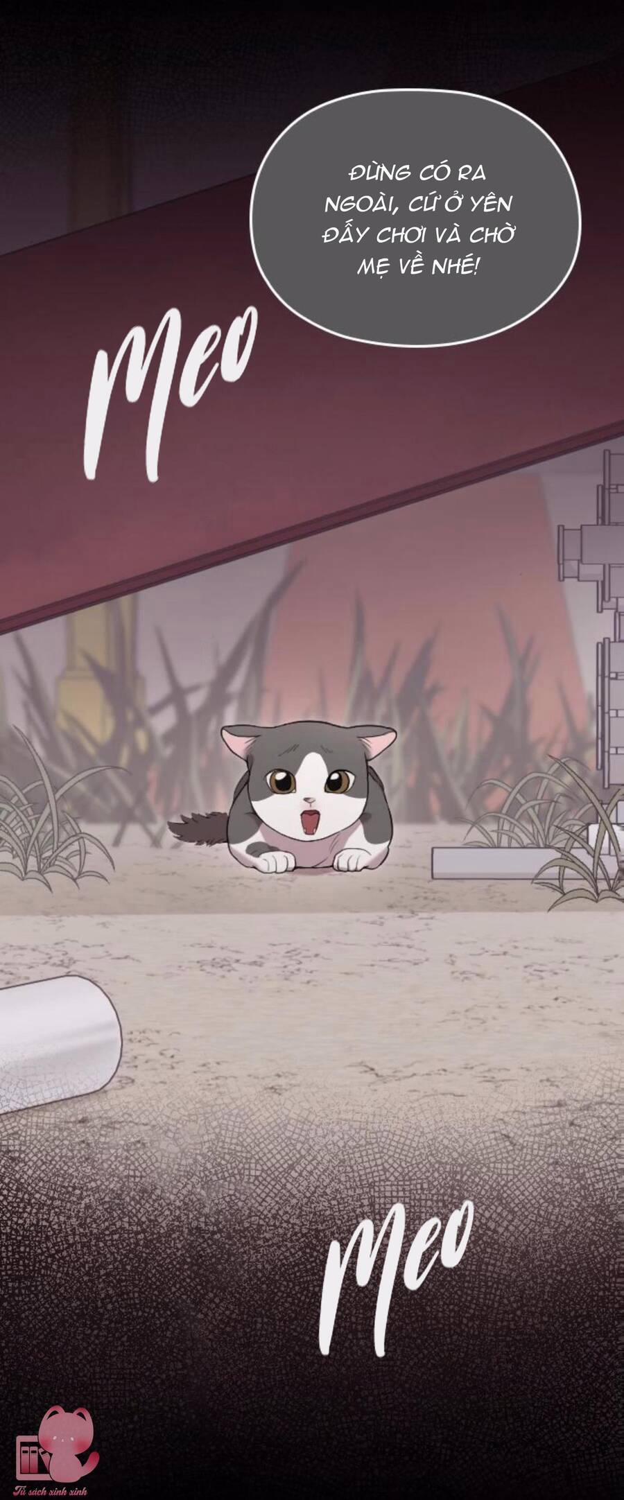 Cô Đi Mà Kết Hôn Với Chồng Của Tôi Đi 67 trang 10