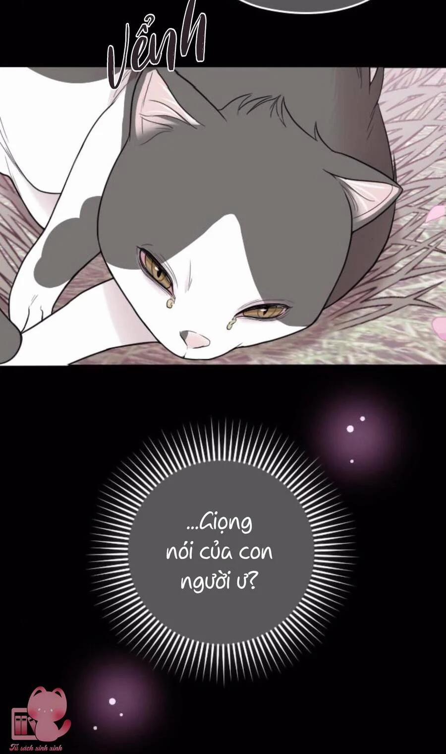 Cô Đi Mà Kết Hôn Với Chồng Của Tôi Đi 67 trang 21