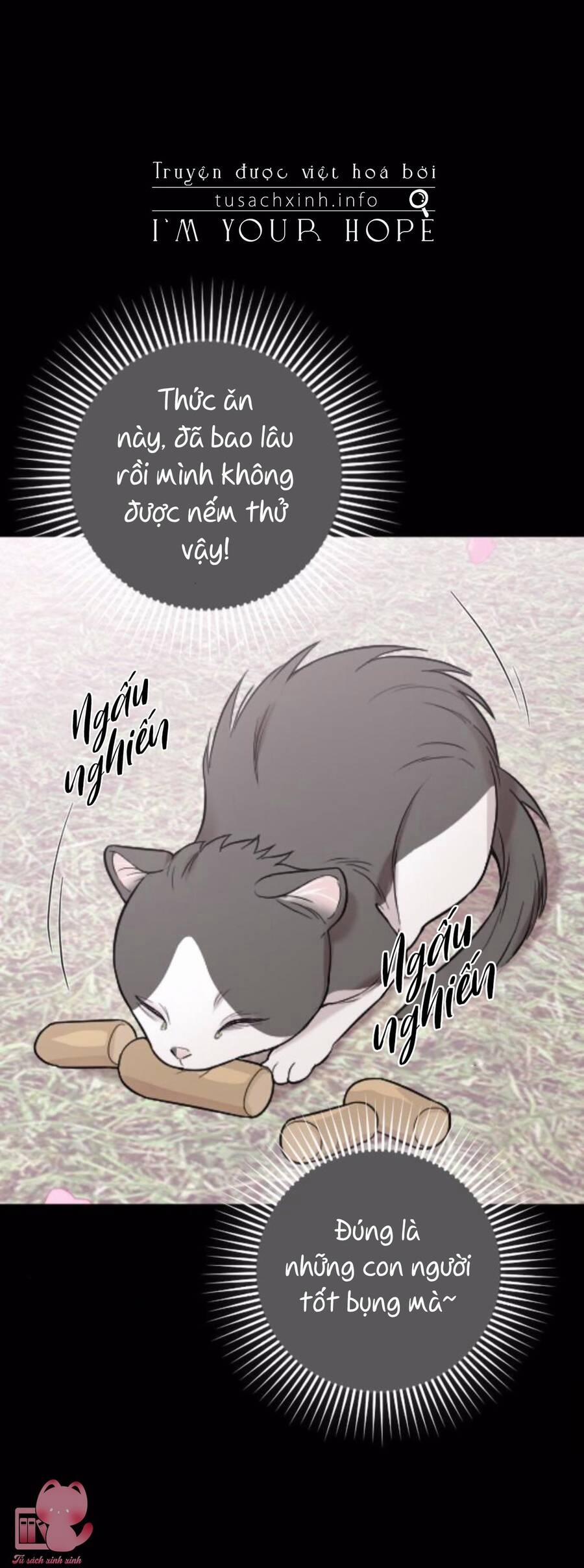 Cô Đi Mà Kết Hôn Với Chồng Của Tôi Đi 67 trang 24