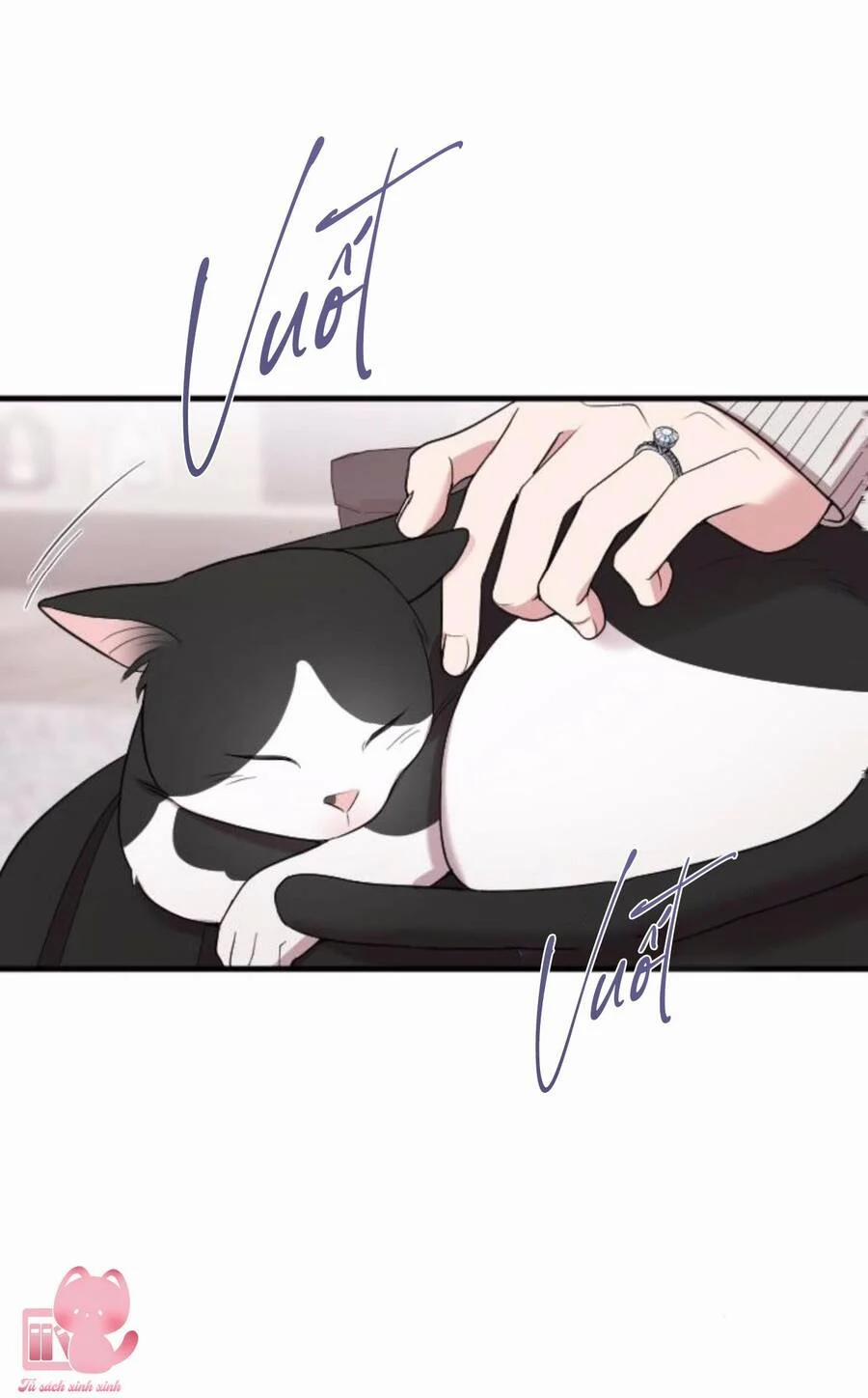 Cô Đi Mà Kết Hôn Với Chồng Của Tôi Đi 67 trang 3