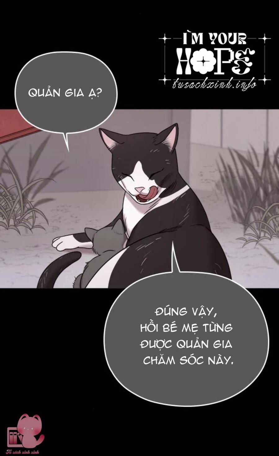 Cô Đi Mà Kết Hôn Với Chồng Của Tôi Đi 67 trang 30