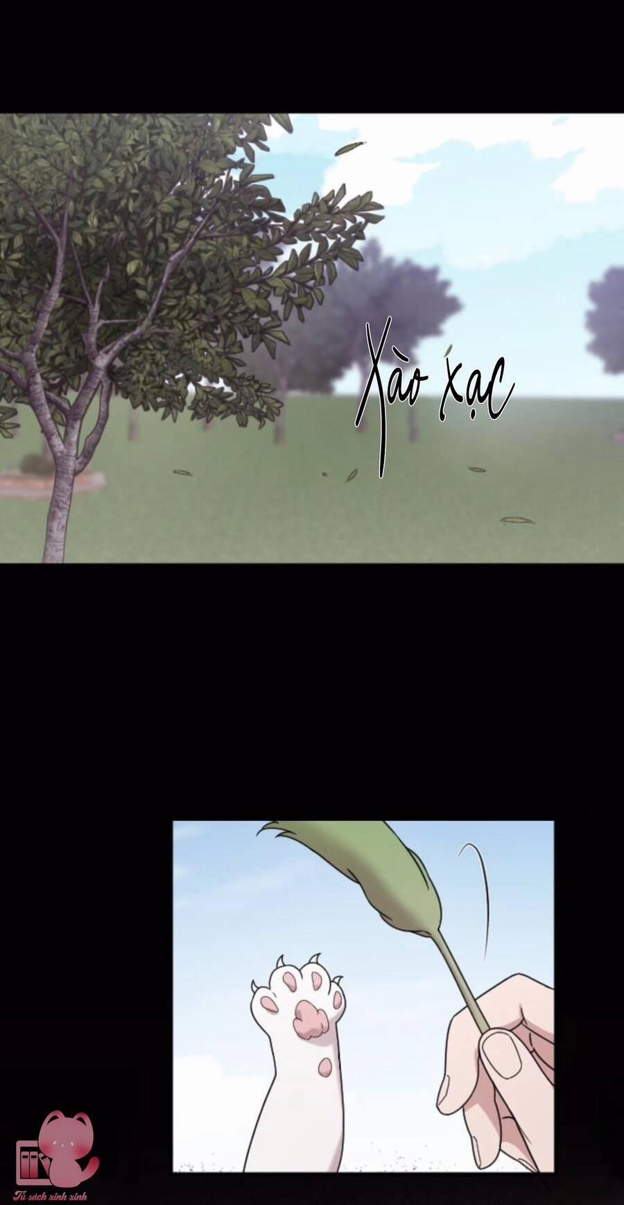 Cô Đi Mà Kết Hôn Với Chồng Của Tôi Đi 67 trang 34