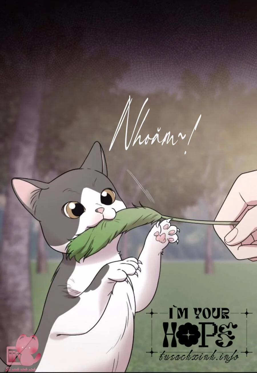 Cô Đi Mà Kết Hôn Với Chồng Của Tôi Đi 67 trang 35