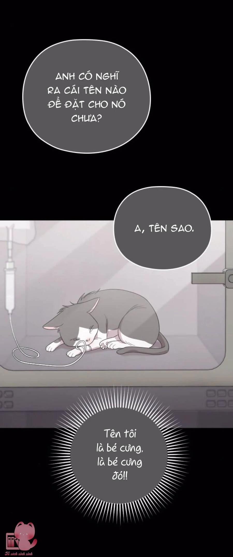 Cô Đi Mà Kết Hôn Với Chồng Của Tôi Đi 67 trang 47