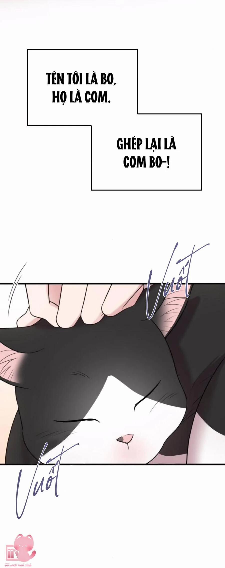 Cô Đi Mà Kết Hôn Với Chồng Của Tôi Đi 67 trang 5