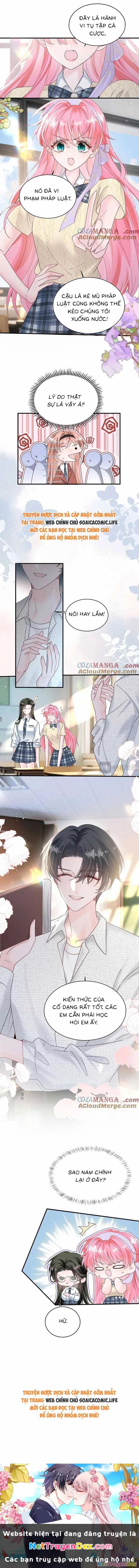 Cô Em Gái Cưng Bất Đắc Dĩ Của Đại Lão 38 trang 6