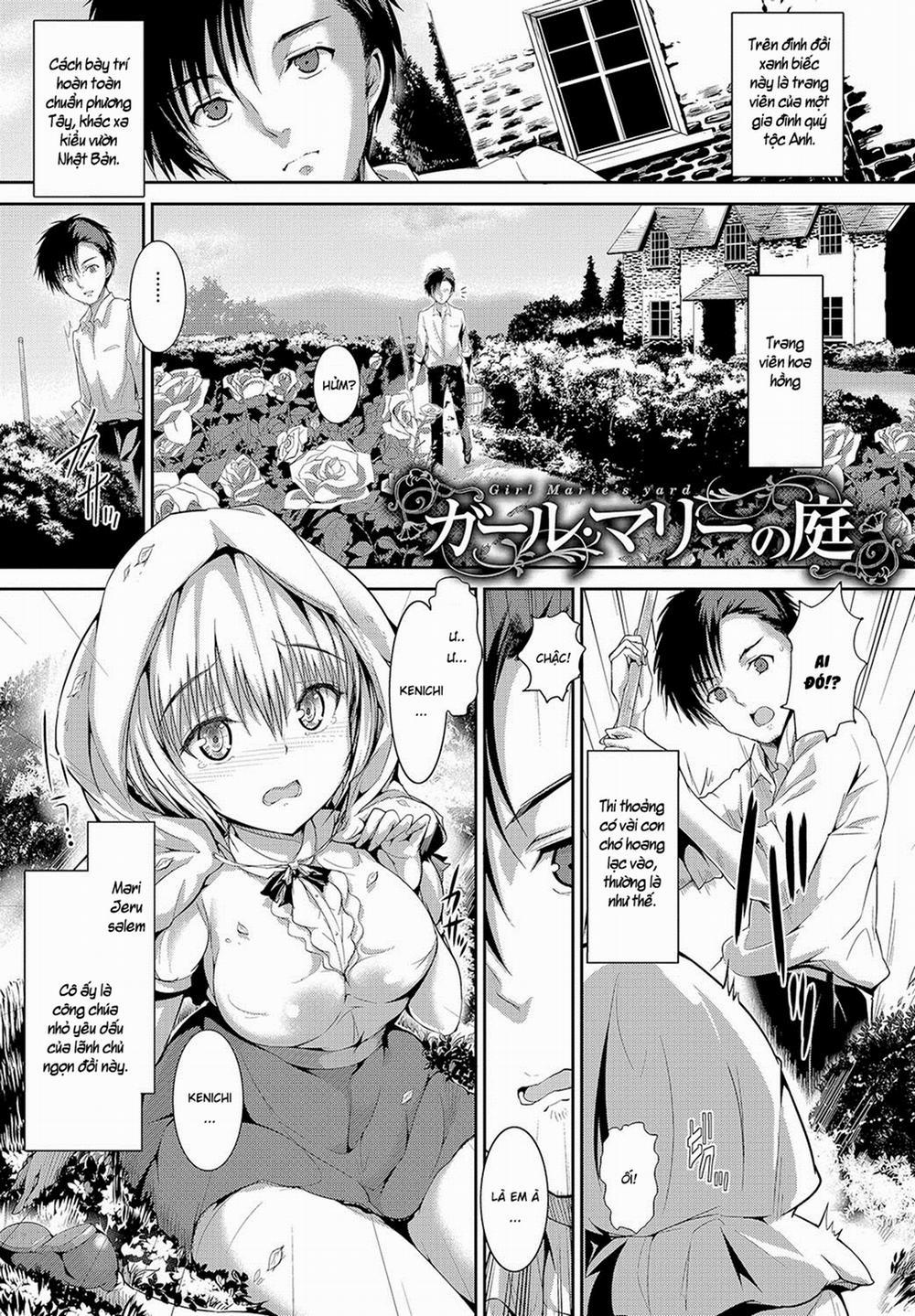 Cô gái bí ẩn 0 Ngọn đồi hoa hồng trang 1