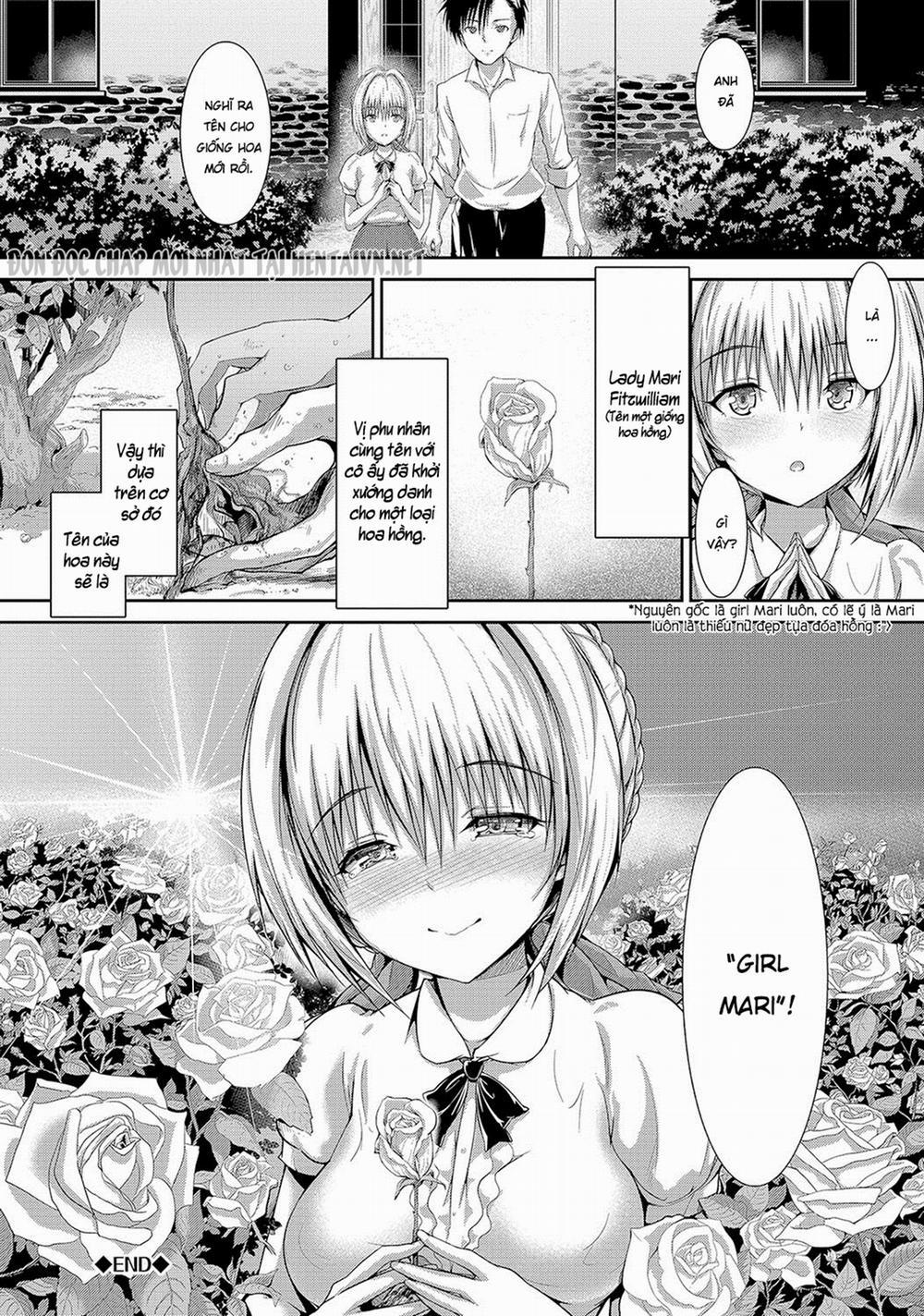 Cô gái bí ẩn 0 Ngọn đồi hoa hồng trang 24