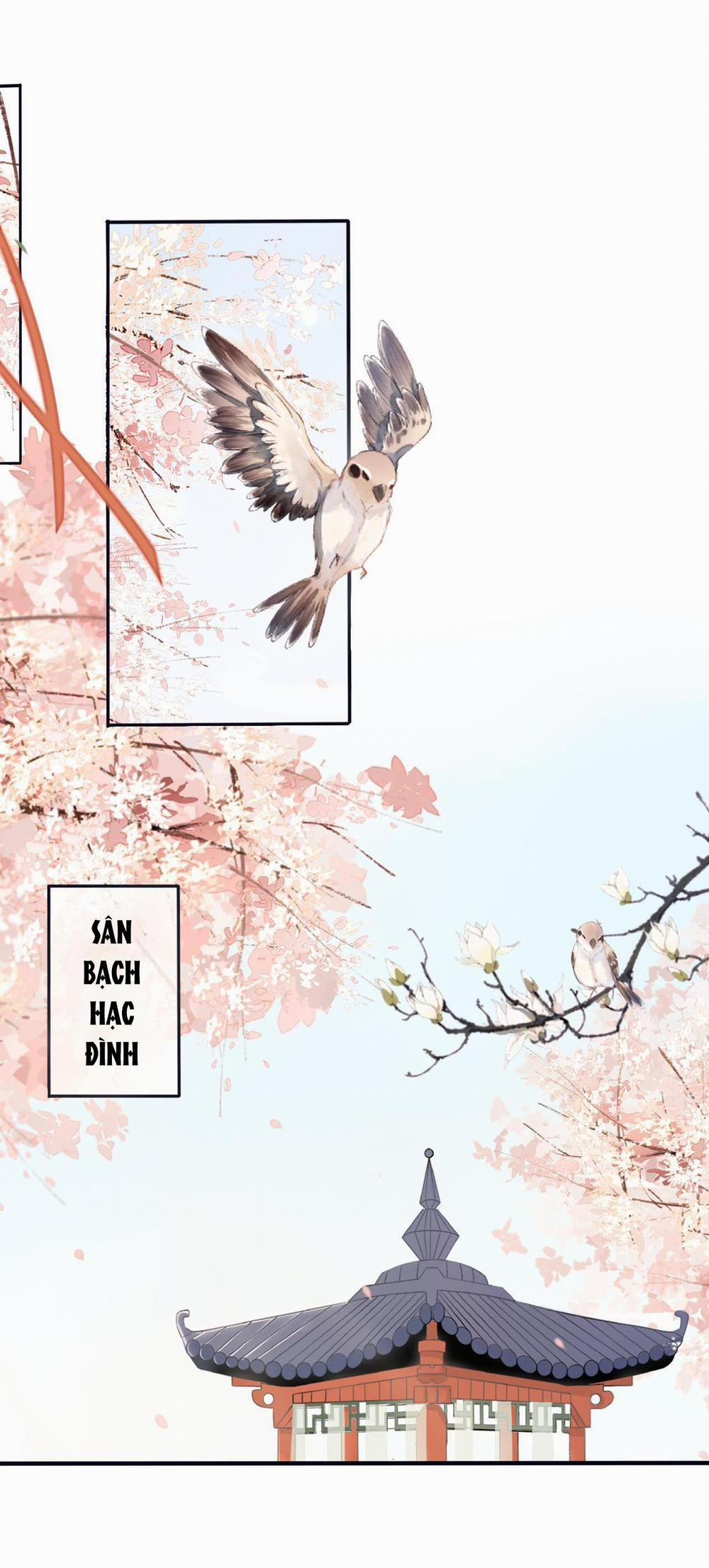 Cổ Hối 1 trang 1