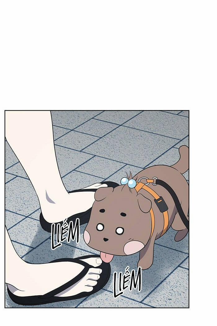 Cô Nàng Hết Thuốc Chữa 47 trang 44