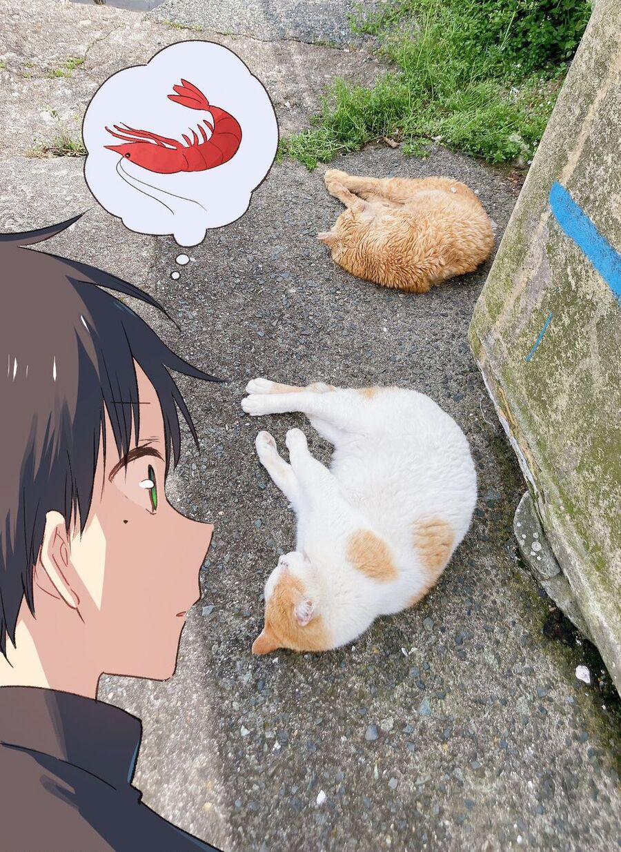 Cô Nàng Mèo Ngủ Gật Và Chàng Trai Hướng Nội 16 trang 33