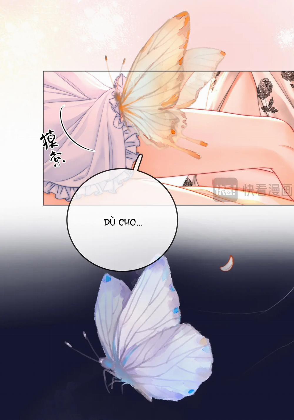 Cố Tiểu Thư Và Khúc Tiểu Thư 61 trang 10