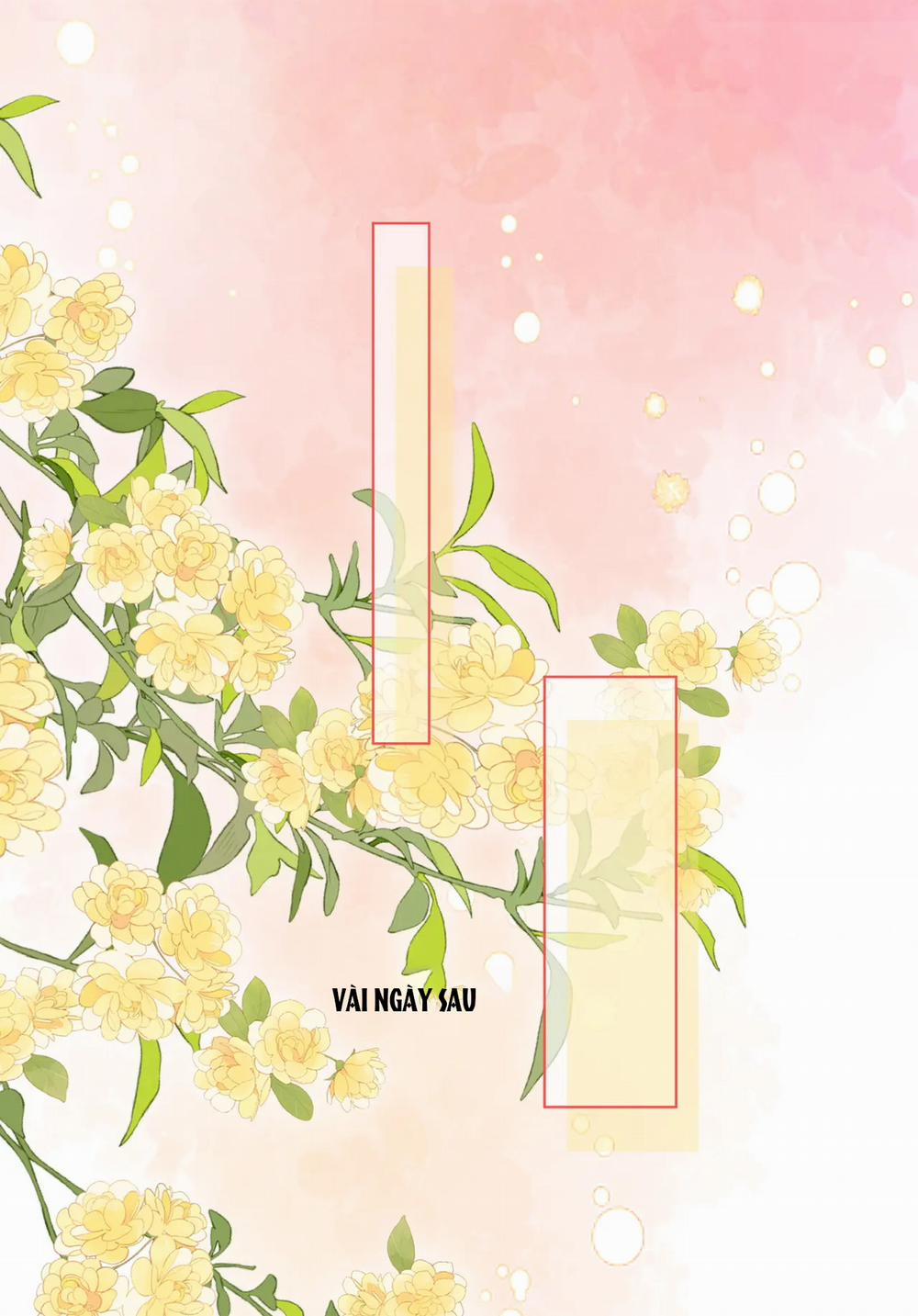 Cố Tiểu Thư Và Khúc Tiểu Thư 71 trang 26