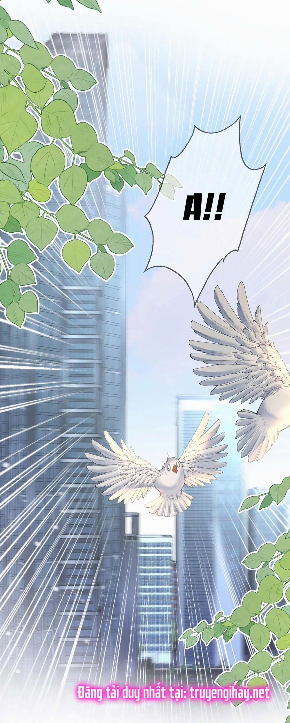 Cố Tiểu Thư Và Khúc Tiểu Thư 8.1 trang 18