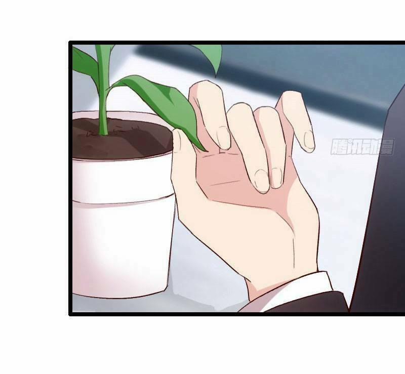 Cô Vợ Ấm Áp Của Hạ Thiếu 21 trang 10