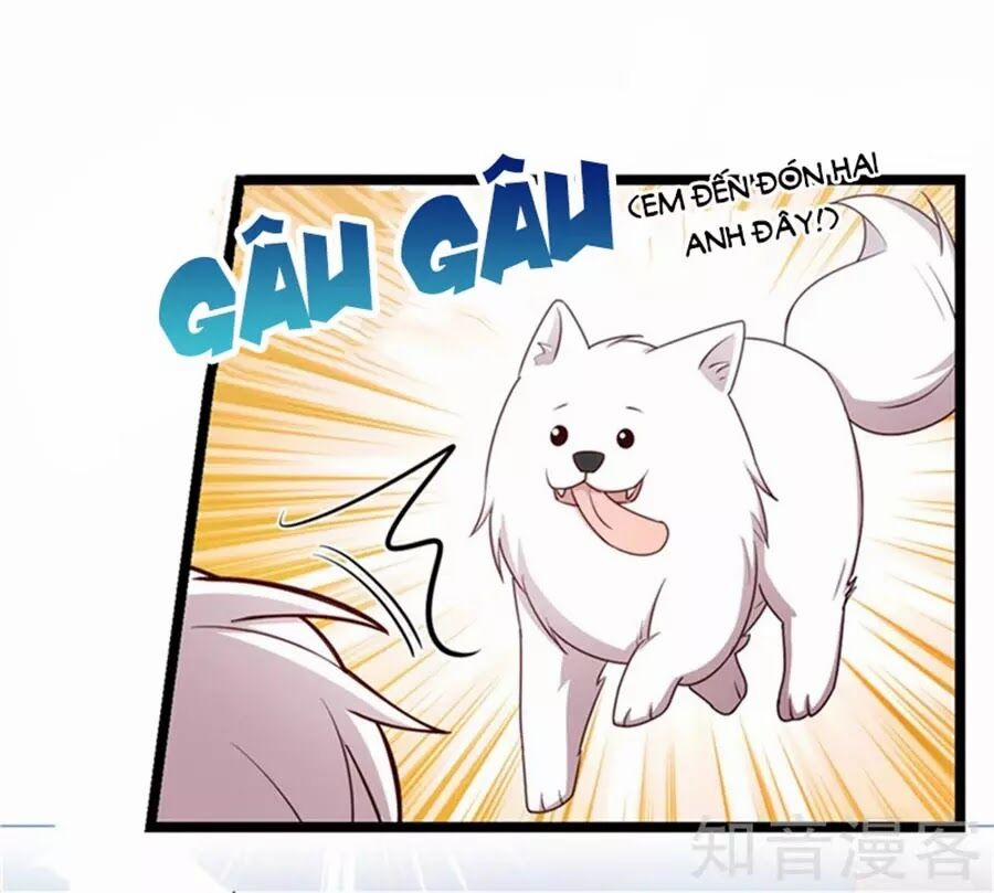 Cô Vợ Ấm Áp Của Hạ Thiếu 233 trang 28