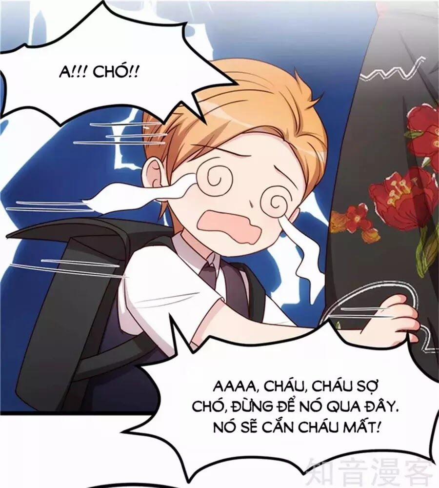 Cô Vợ Ấm Áp Của Hạ Thiếu 233 trang 29