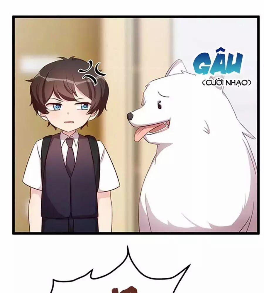 Cô Vợ Ấm Áp Của Hạ Thiếu 234 trang 0