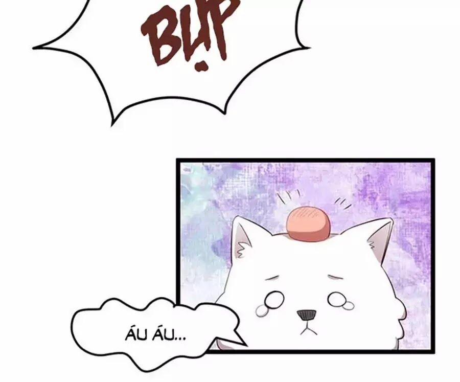 Cô Vợ Ấm Áp Của Hạ Thiếu 234 trang 1