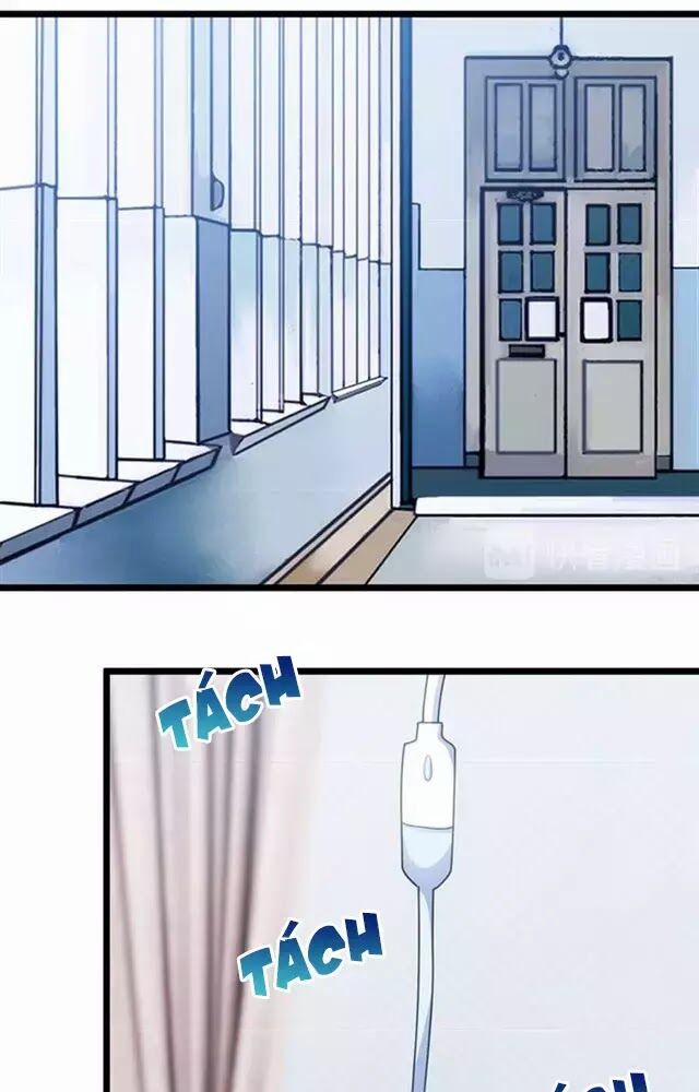 Cô Vợ Ấm Áp Của Hạ Thiếu 240 trang 10