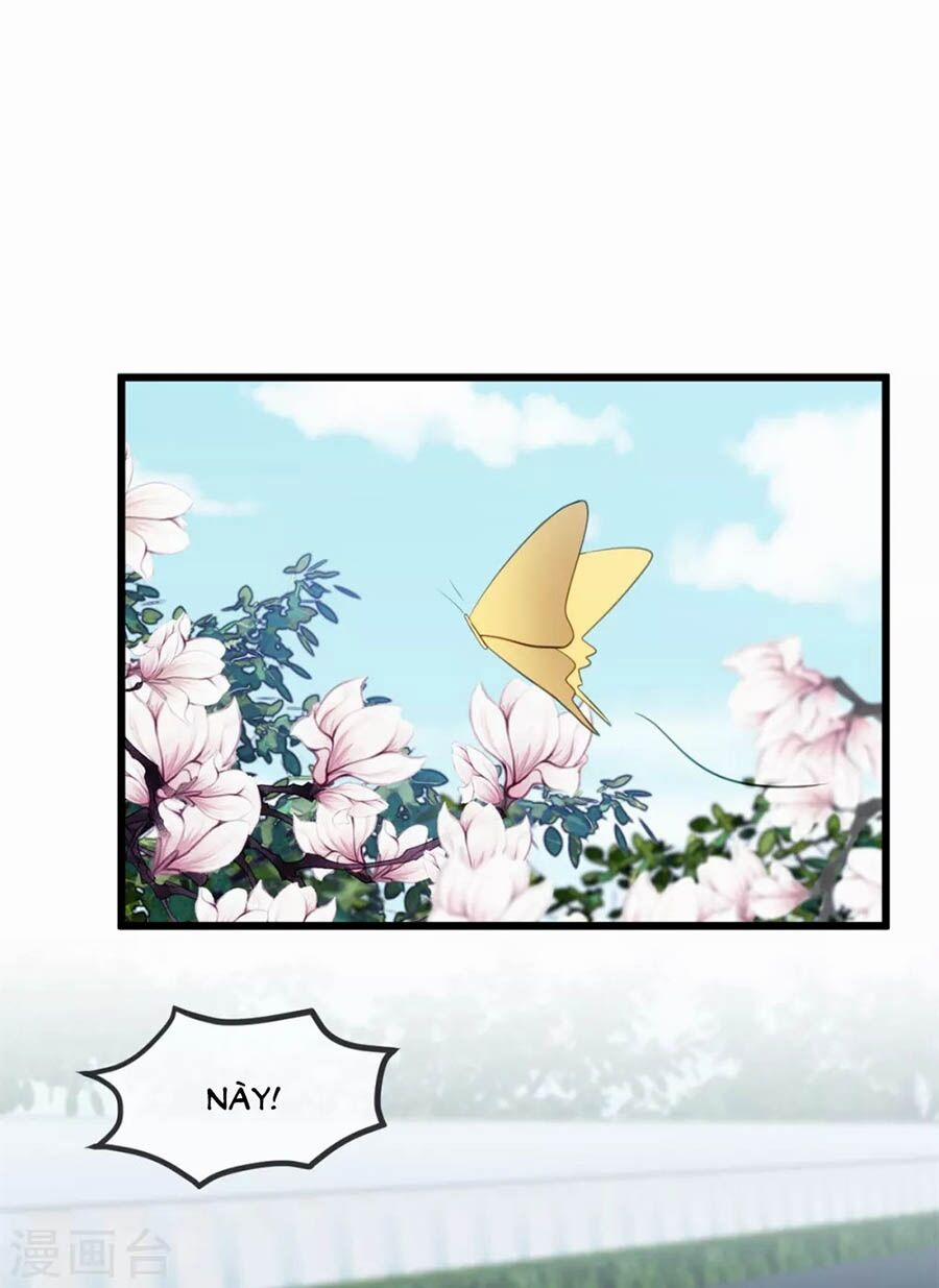 Cô Vợ Ấm Áp Của Hạ Thiếu 257 trang 25