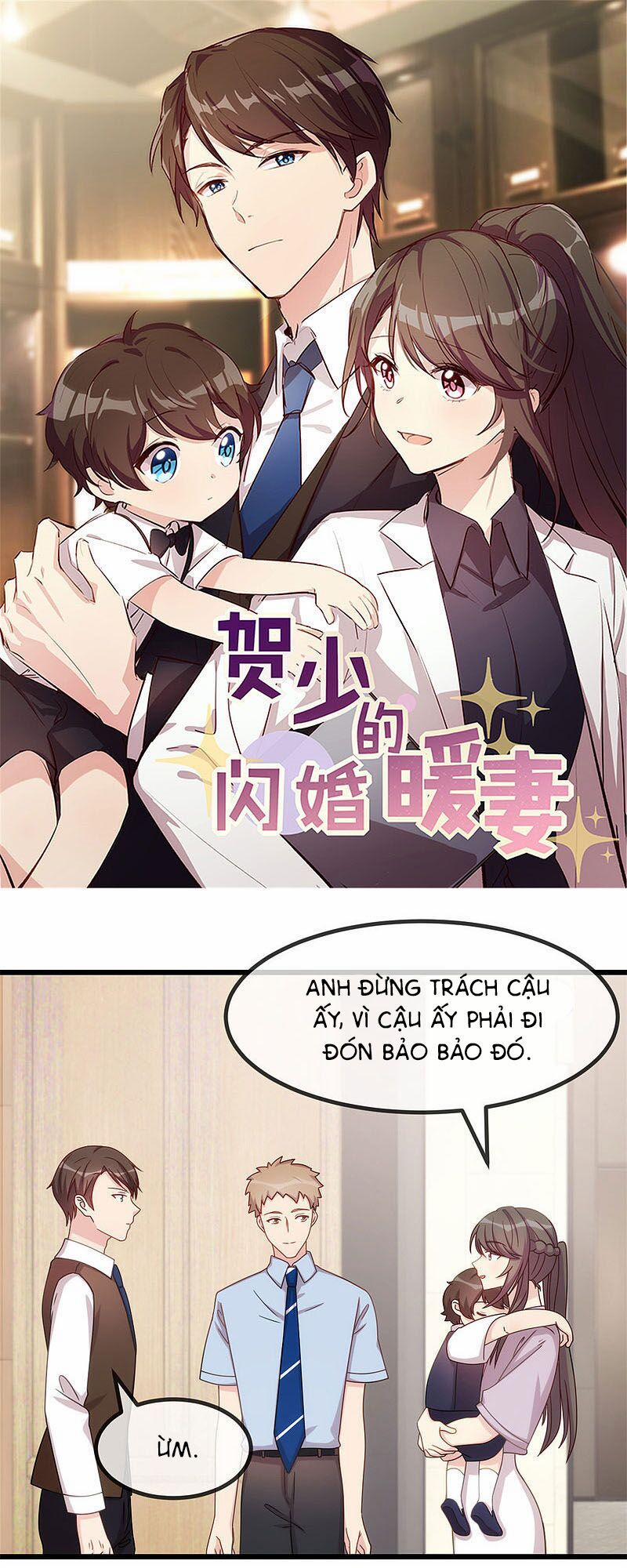 Cô Vợ Ấm Áp Của Hạ Thiếu 330 trang 0