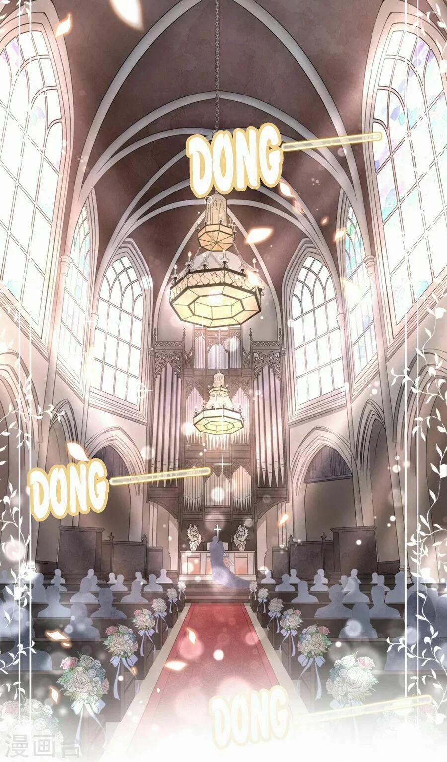 Cô Vợ Hợp Đồng Lạnh Lùng Không Dễ Đụng Đâu 0 trang 1