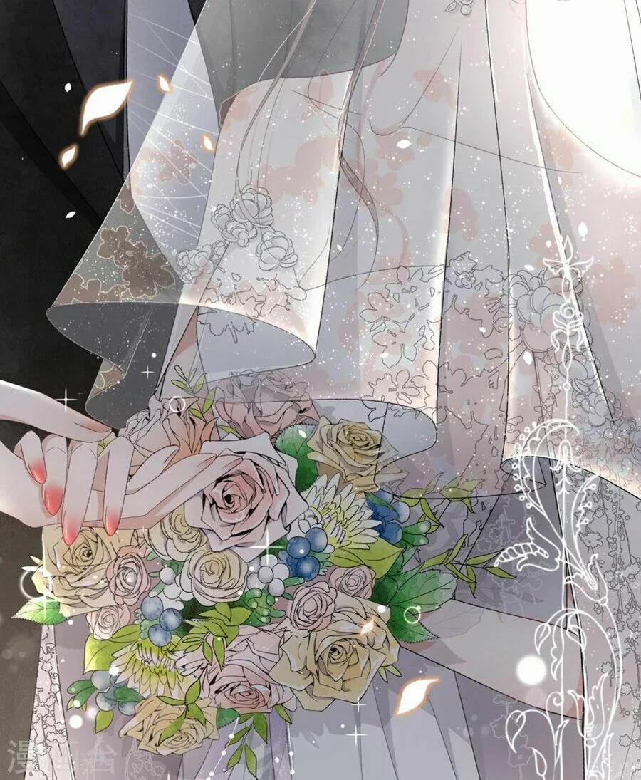 Cô Vợ Hợp Đồng Lạnh Lùng Không Dễ Đụng Đâu 0 trang 4