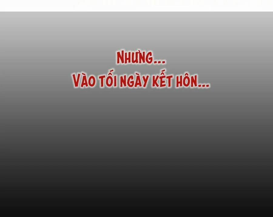 Cô Vợ Hợp Đồng Lạnh Lùng Không Dễ Đụng Đâu 0 trang 6