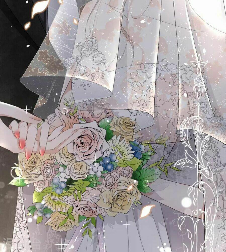 Cô Vợ Hợp Đồng Lạnh Lùng Không Dễ Đụng Đâu 1 trang 5