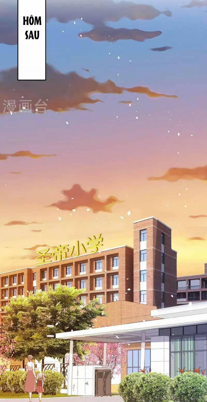 Cô Vợ Hợp Đồng Lạnh Lùng Không Dễ Đụng Đâu 239 trang 11