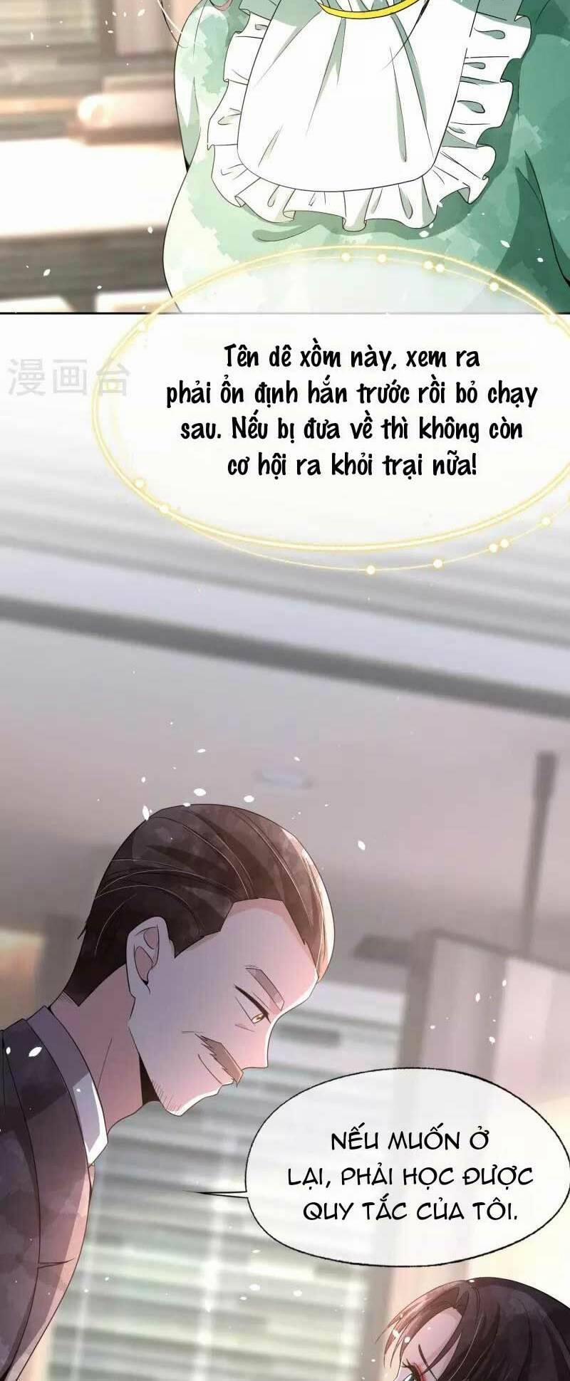 Cô Vợ Hợp Đồng Lạnh Lùng Không Dễ Đụng Đâu 241 trang 26