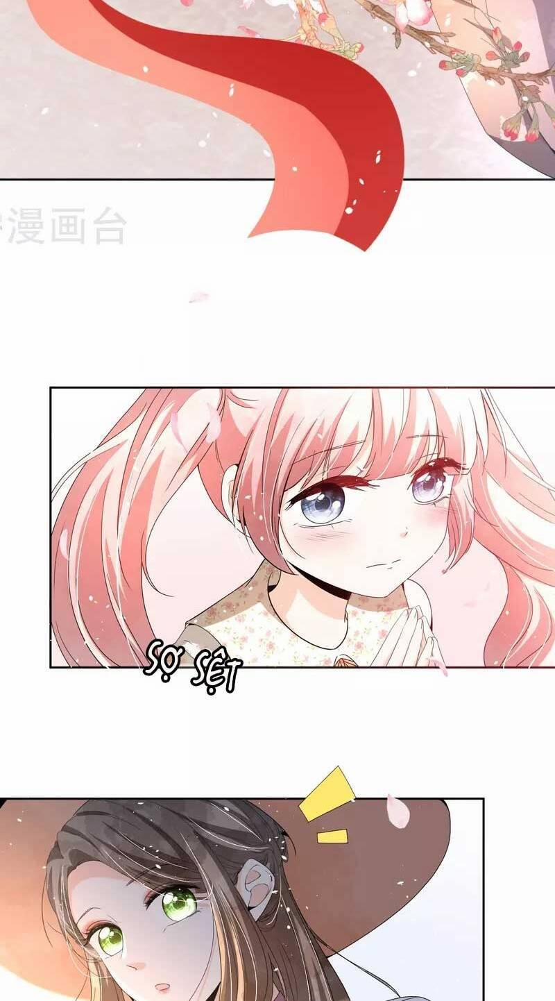 Cô Vợ Hợp Đồng Lạnh Lùng Không Dễ Đụng Đâu 248 trang 12