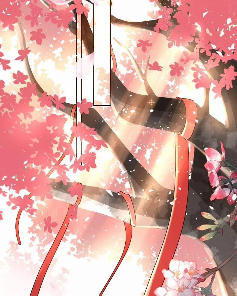 Cô Vợ Hợp Đồng Lạnh Lùng Không Dễ Đụng Đâu 248 trang 7