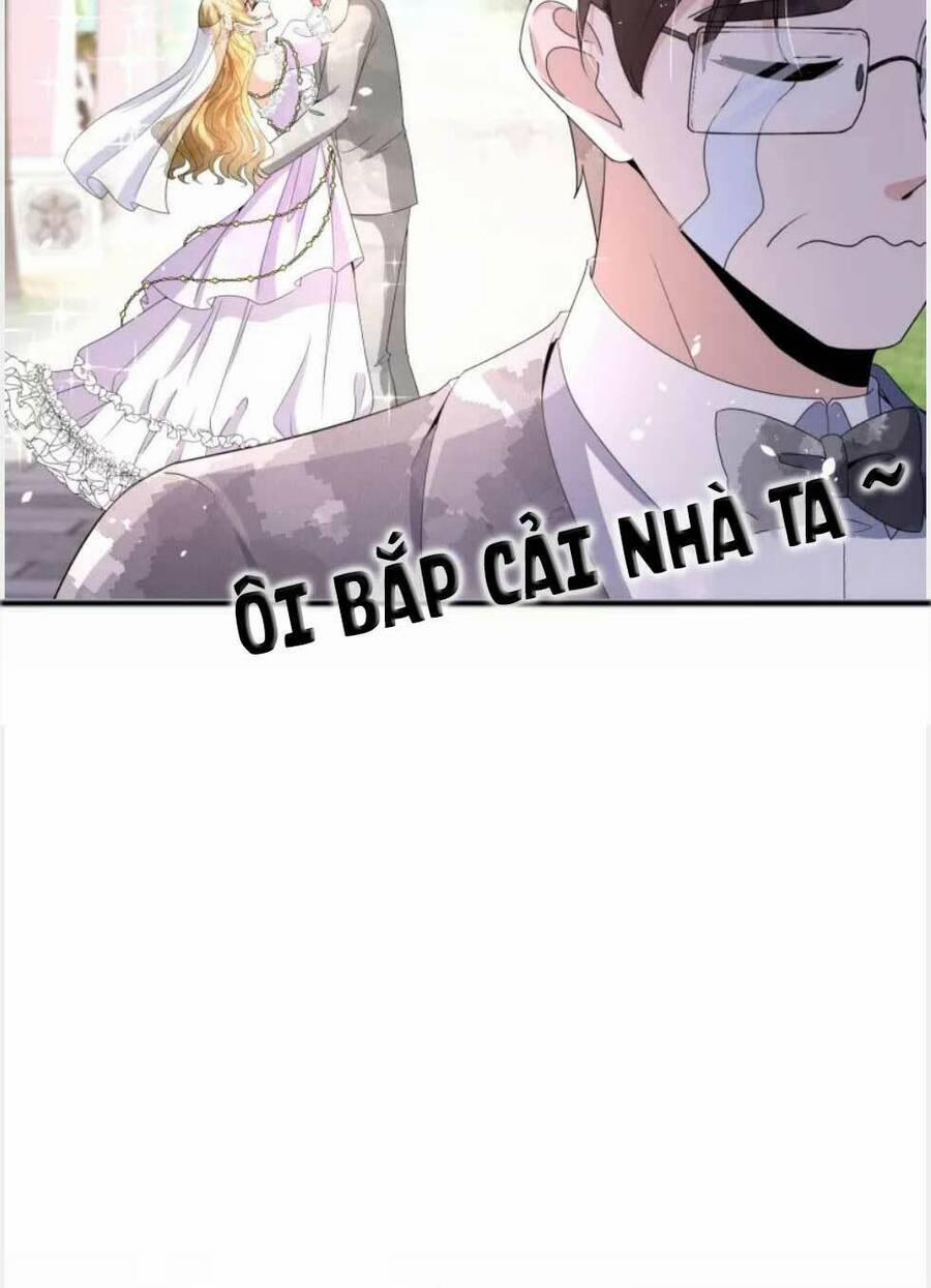 Cô Vợ Hợp Đồng Lạnh Lùng Không Dễ Đụng Đâu 256 trang 8