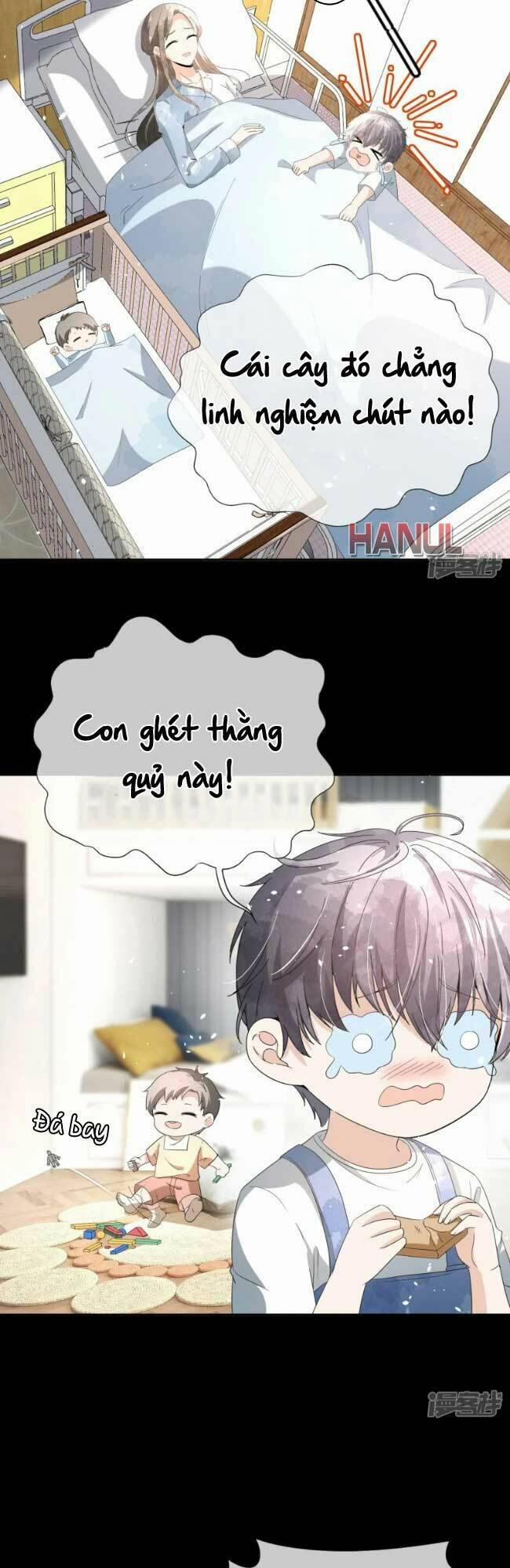 Cô Vợ Hợp Đồng Lạnh Lùng Không Dễ Đụng Đâu 260 trang 8