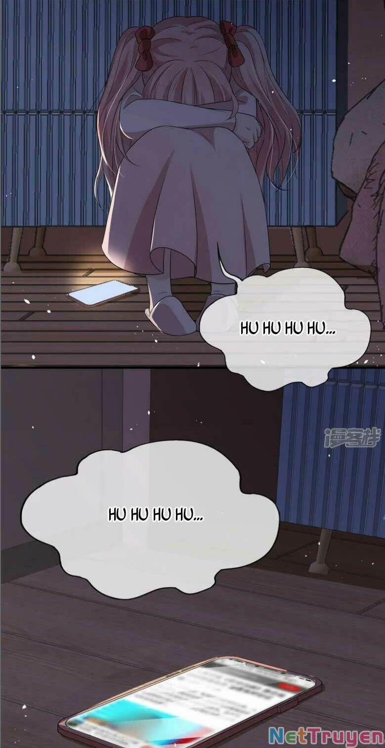 Cô Vợ Hợp Đồng Lạnh Lùng Không Dễ Đụng Đâu 284 trang 14