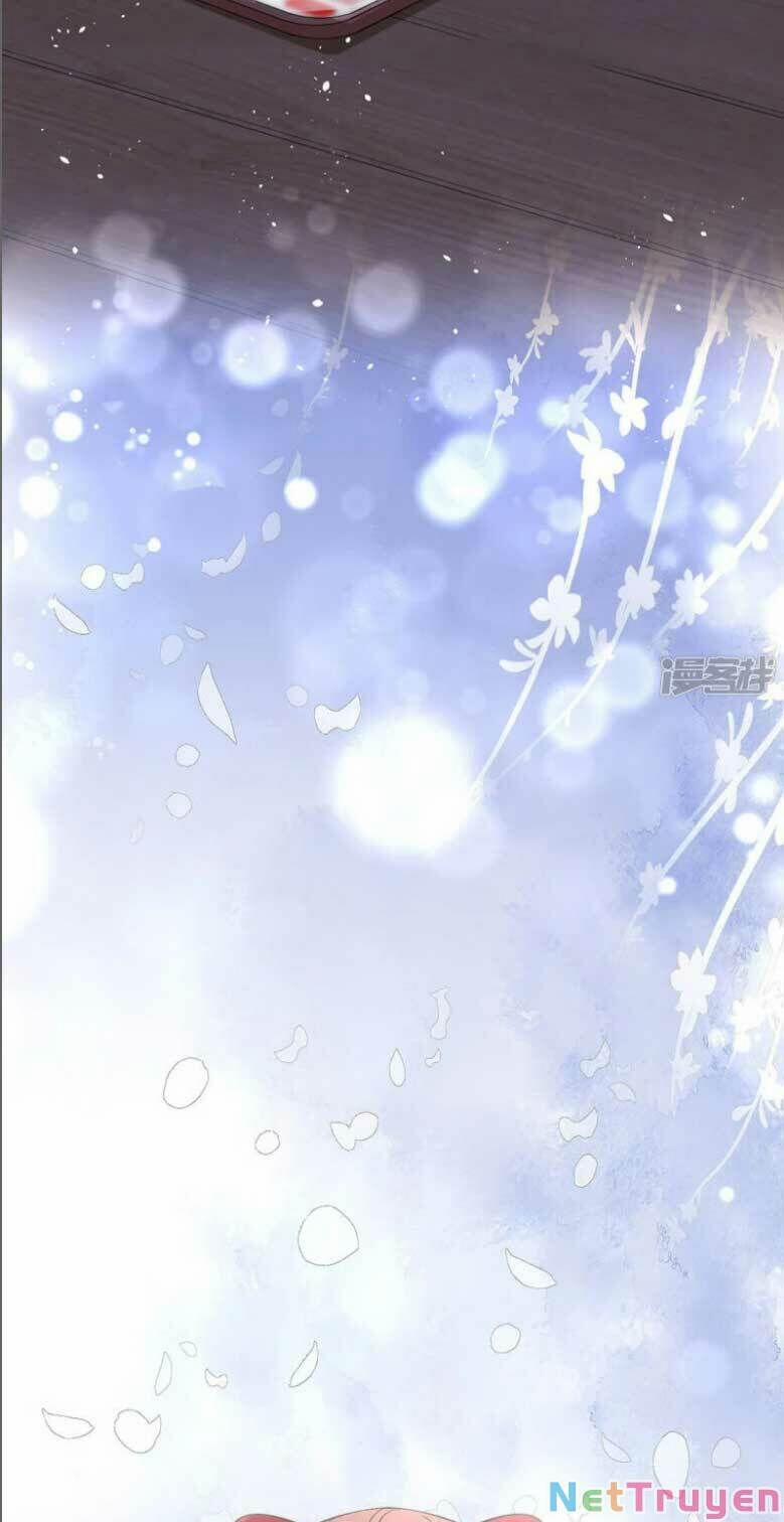 Cô Vợ Hợp Đồng Lạnh Lùng Không Dễ Đụng Đâu 284 trang 15